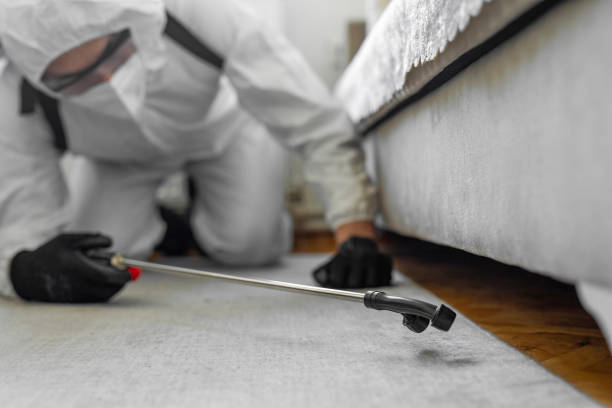 Professional Bed Bug Control technician working in Hobart, WI